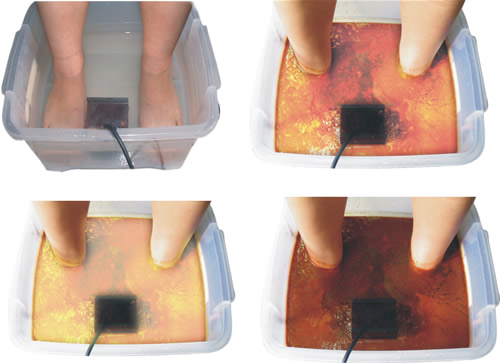 Life Detoxify Health Device